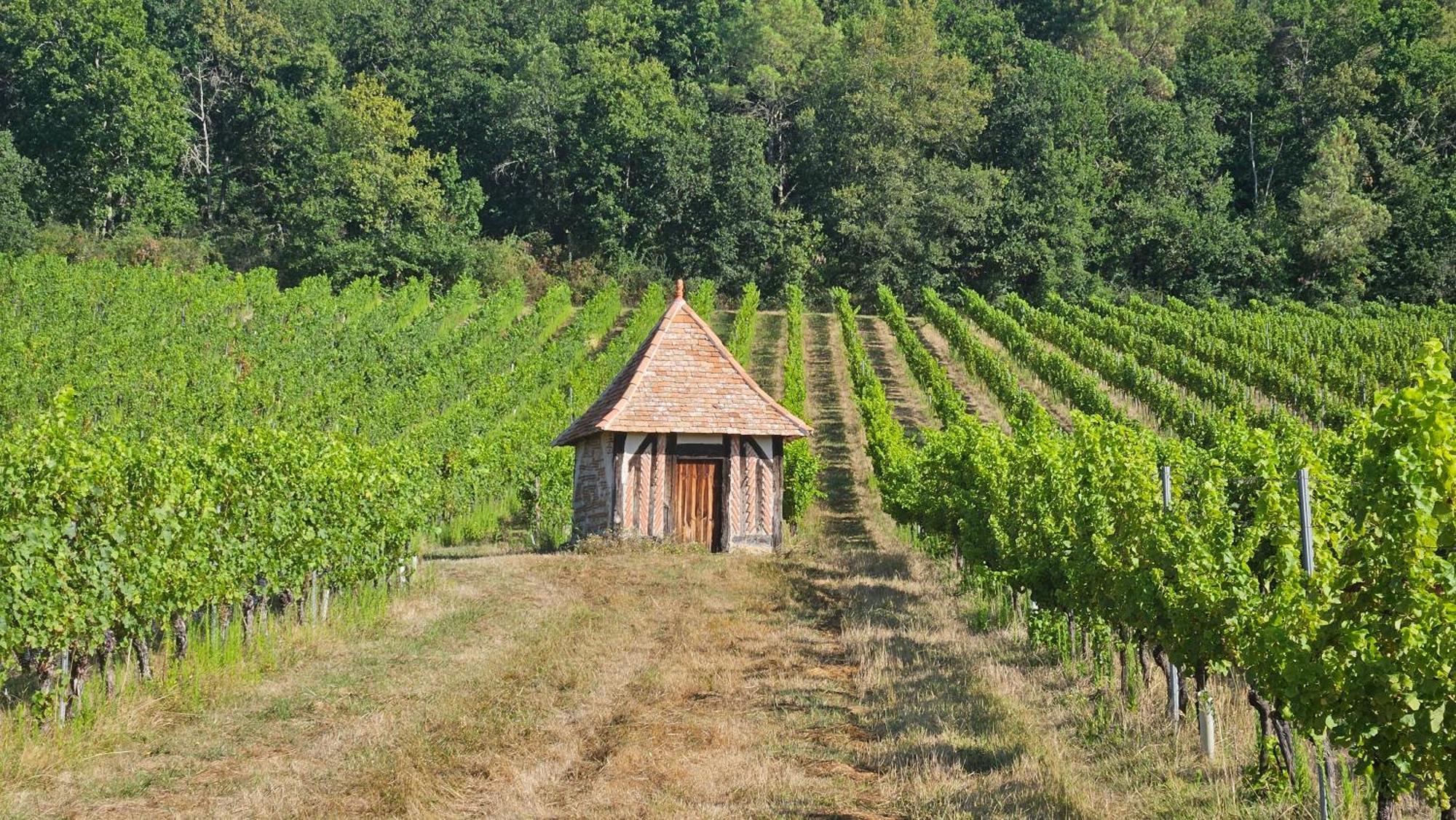 Chambres Et Gites Les Deux Chenes Pres De Bergerac Le Fleix Exteriör bild