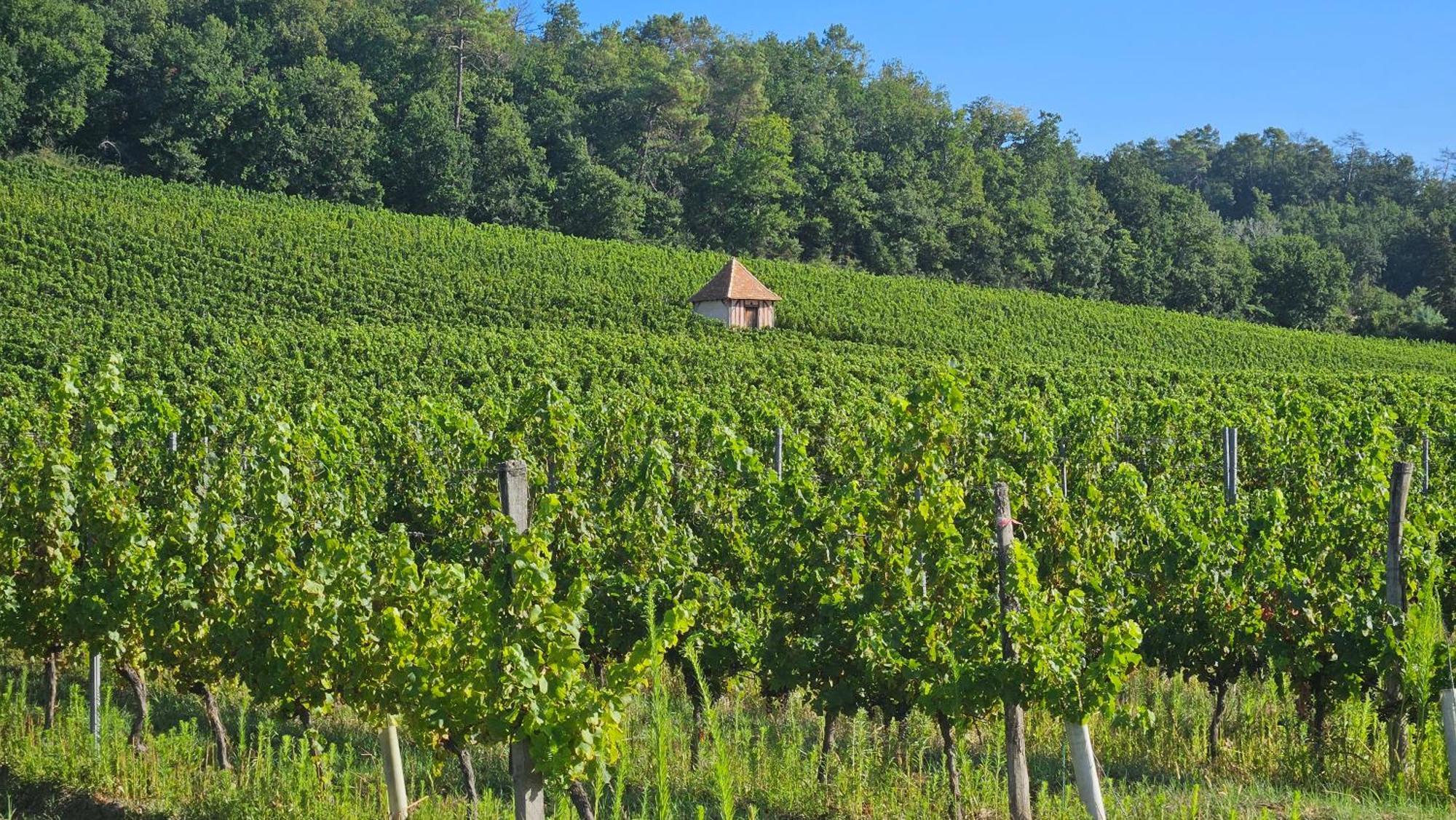 Chambres Et Gites Les Deux Chenes Pres De Bergerac Le Fleix Exteriör bild