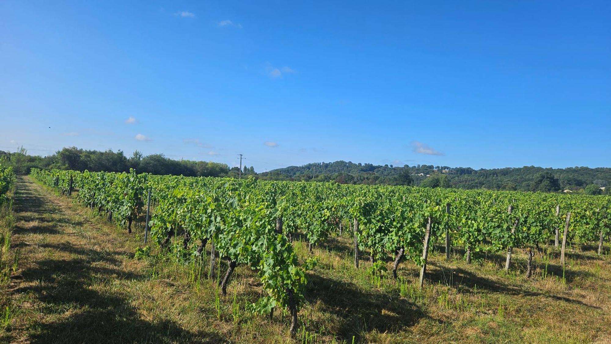 Chambres Et Gites Les Deux Chenes Pres De Bergerac Le Fleix Exteriör bild
