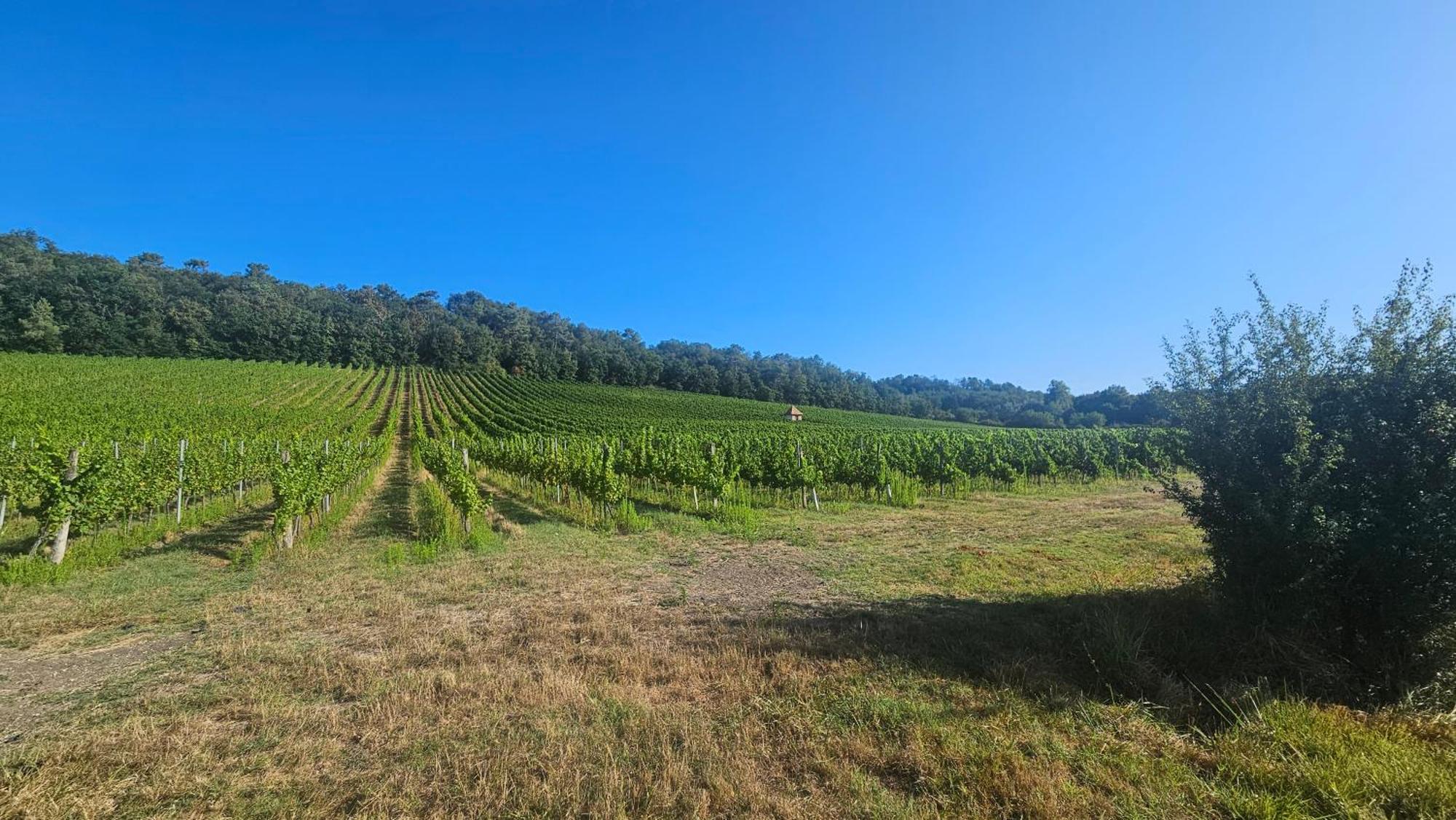 Chambres Et Gites Les Deux Chenes Pres De Bergerac Le Fleix Exteriör bild